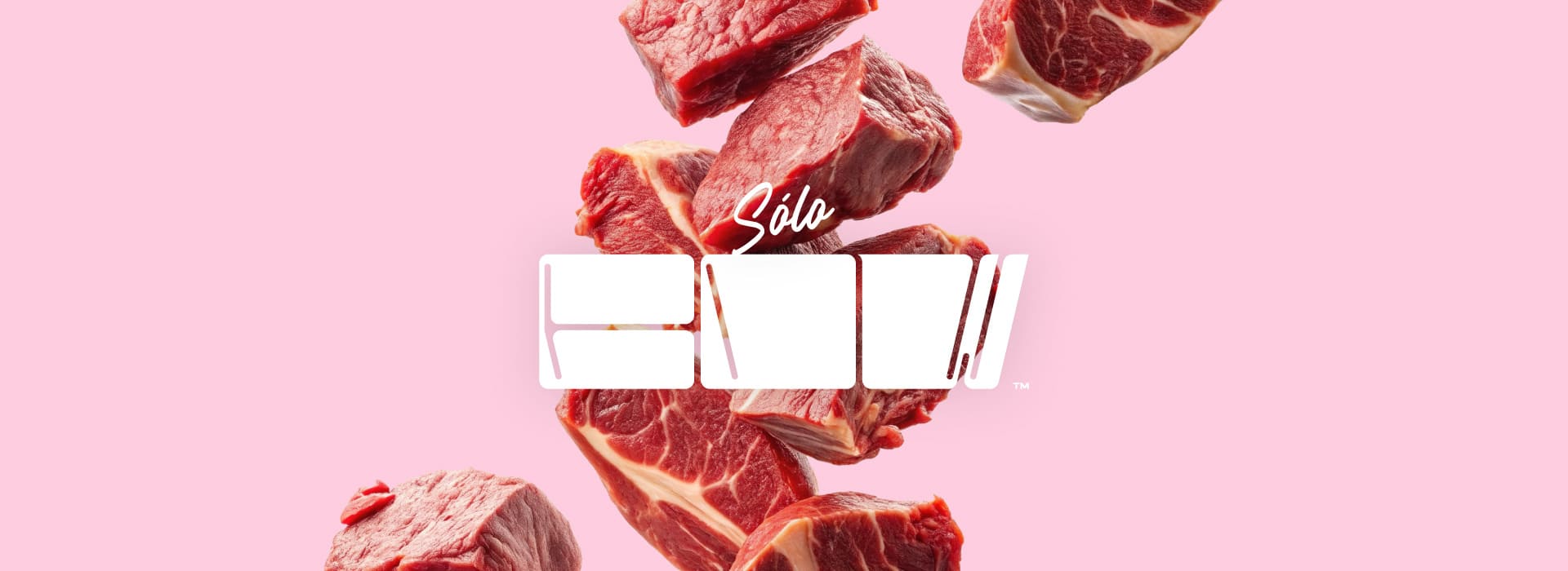 COW-Banner-compress (3)